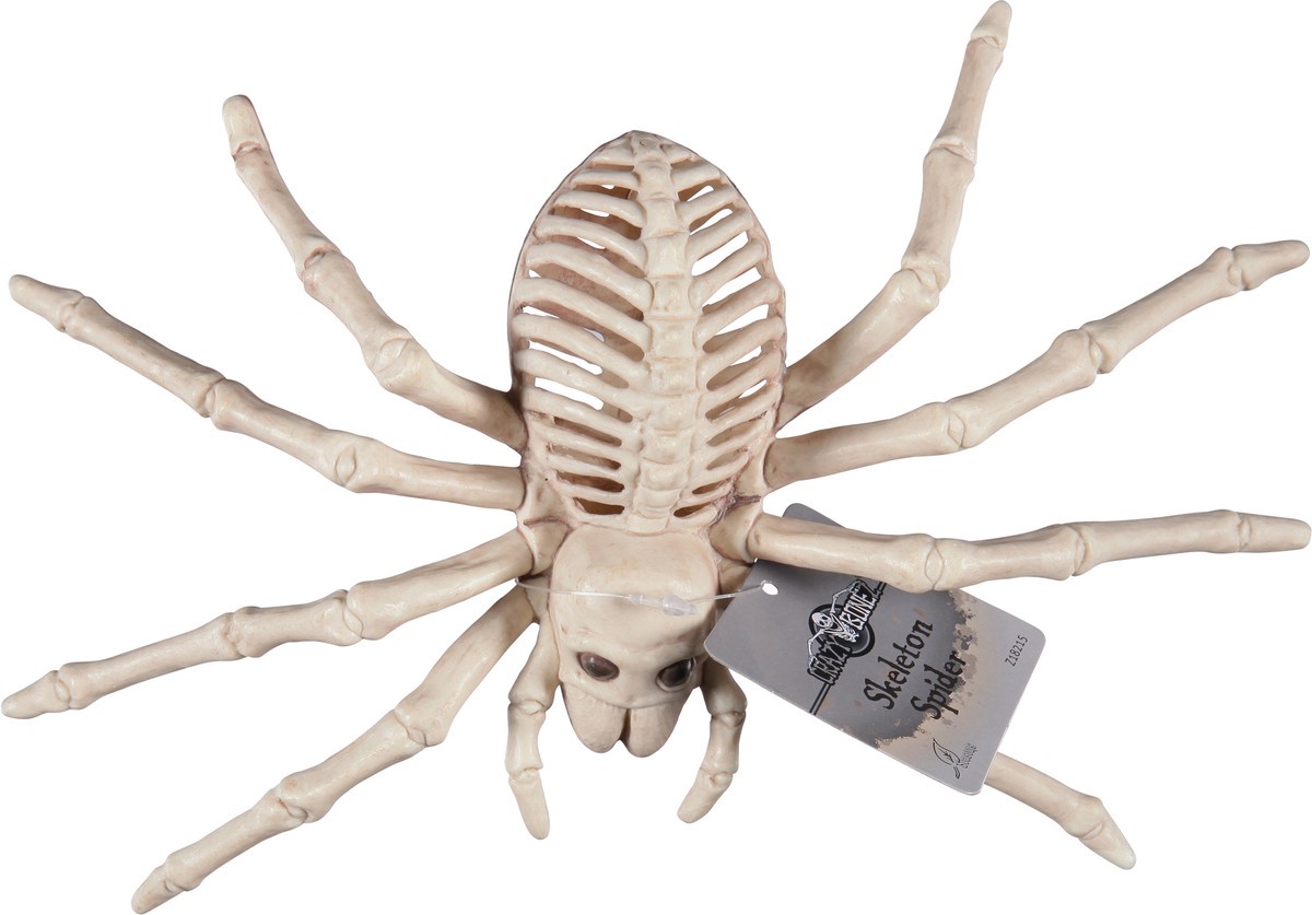 slide 10 of 11, Seasons Season's Spider Skeleton, 1 ct