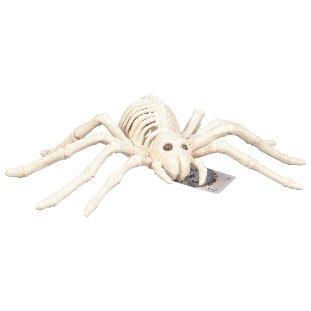 slide 11 of 11, Seasons Season's Spider Skeleton, 1 ct