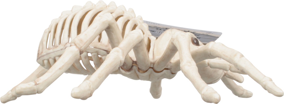 slide 7 of 11, Seasons Season's Spider Skeleton, 1 ct