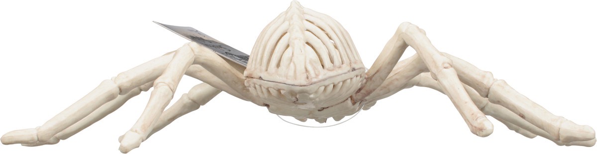 slide 3 of 11, Seasons Season's Spider Skeleton, 1 ct