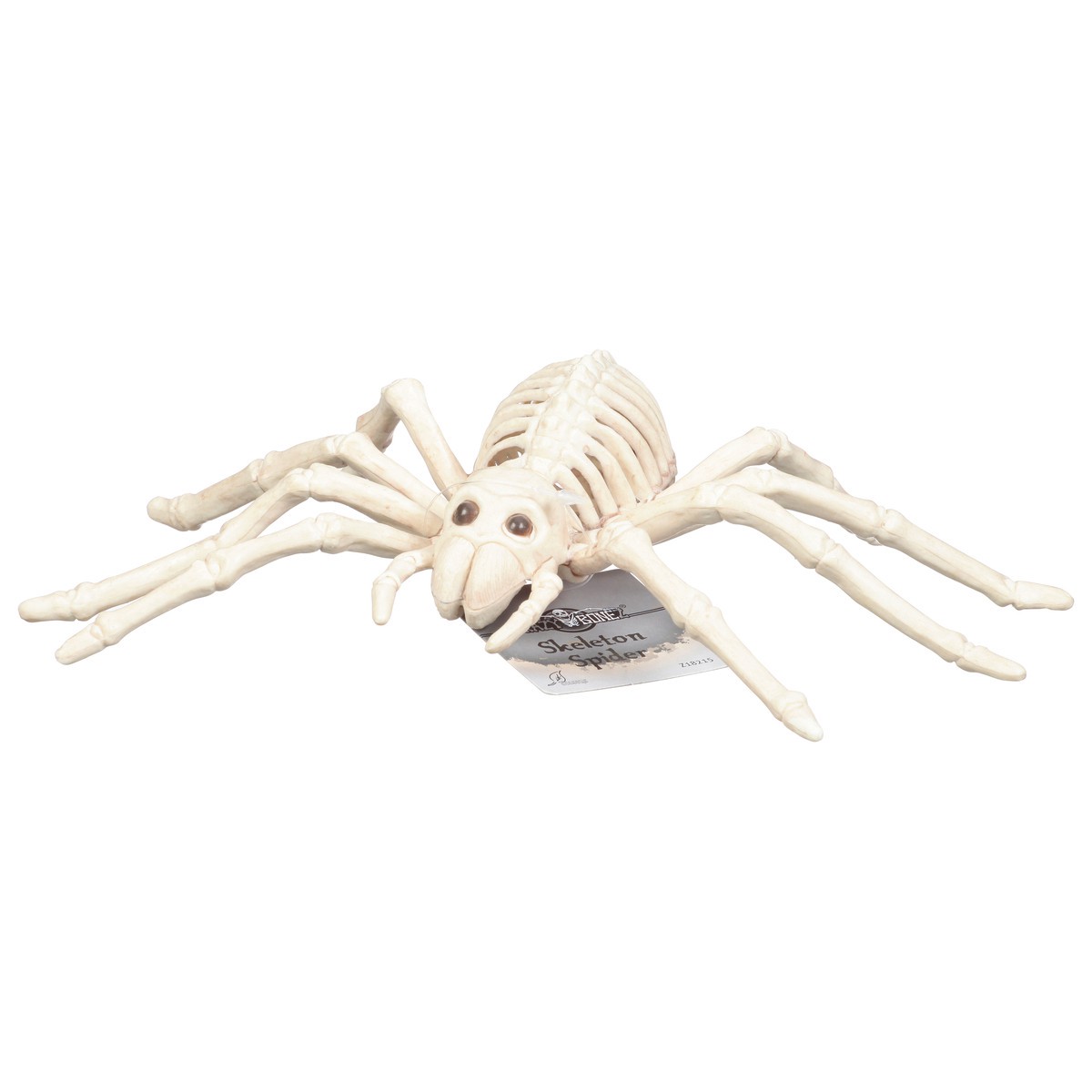 slide 4 of 11, Seasons Season's Spider Skeleton, 1 ct