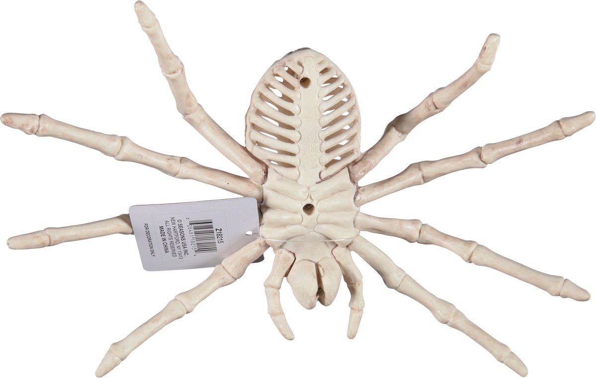 slide 9 of 11, Seasons Season's Spider Skeleton, 1 ct
