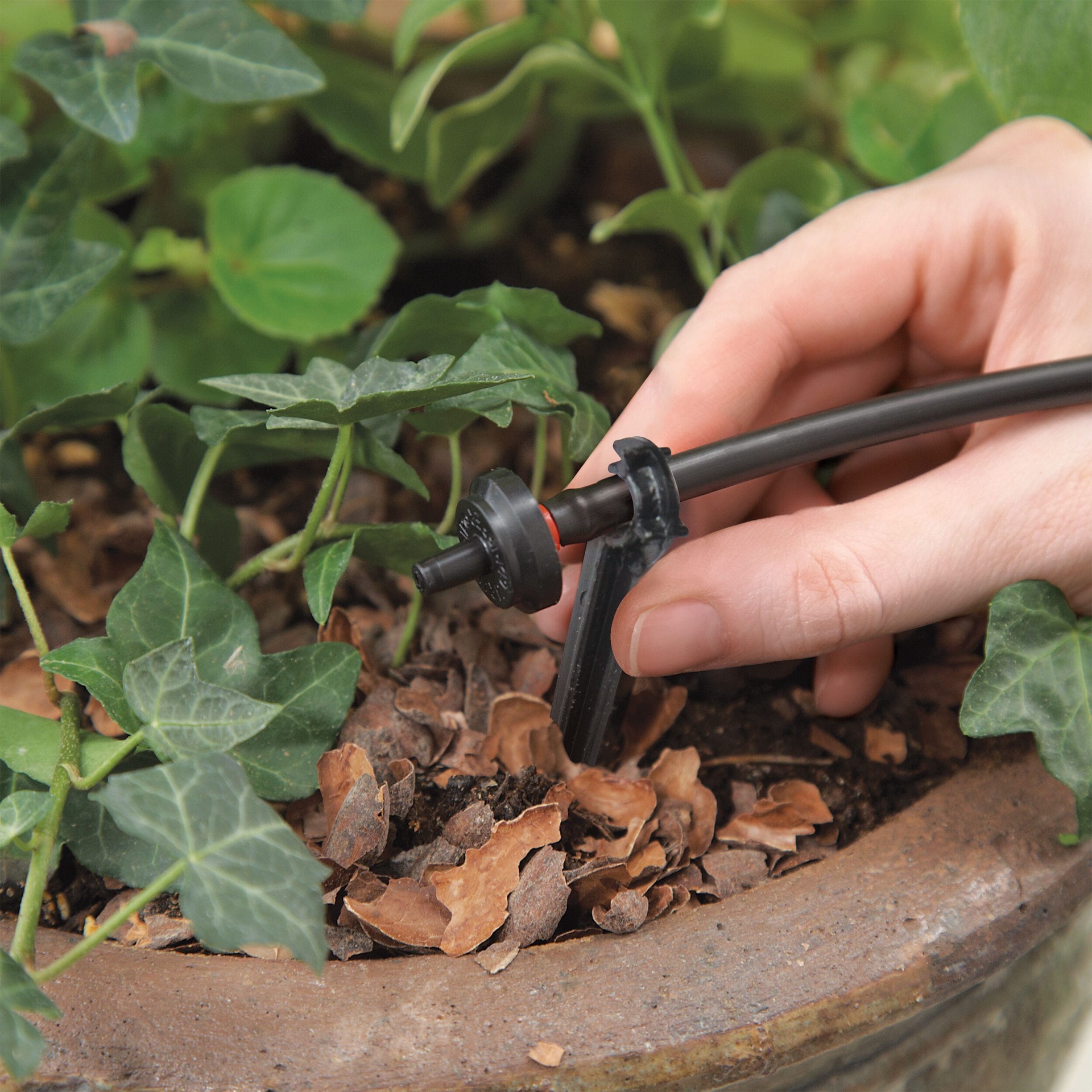 slide 3 of 6, Raindrip 0.5 GPH Drip Irrigation Dripper 10 -Pack, 1 ct