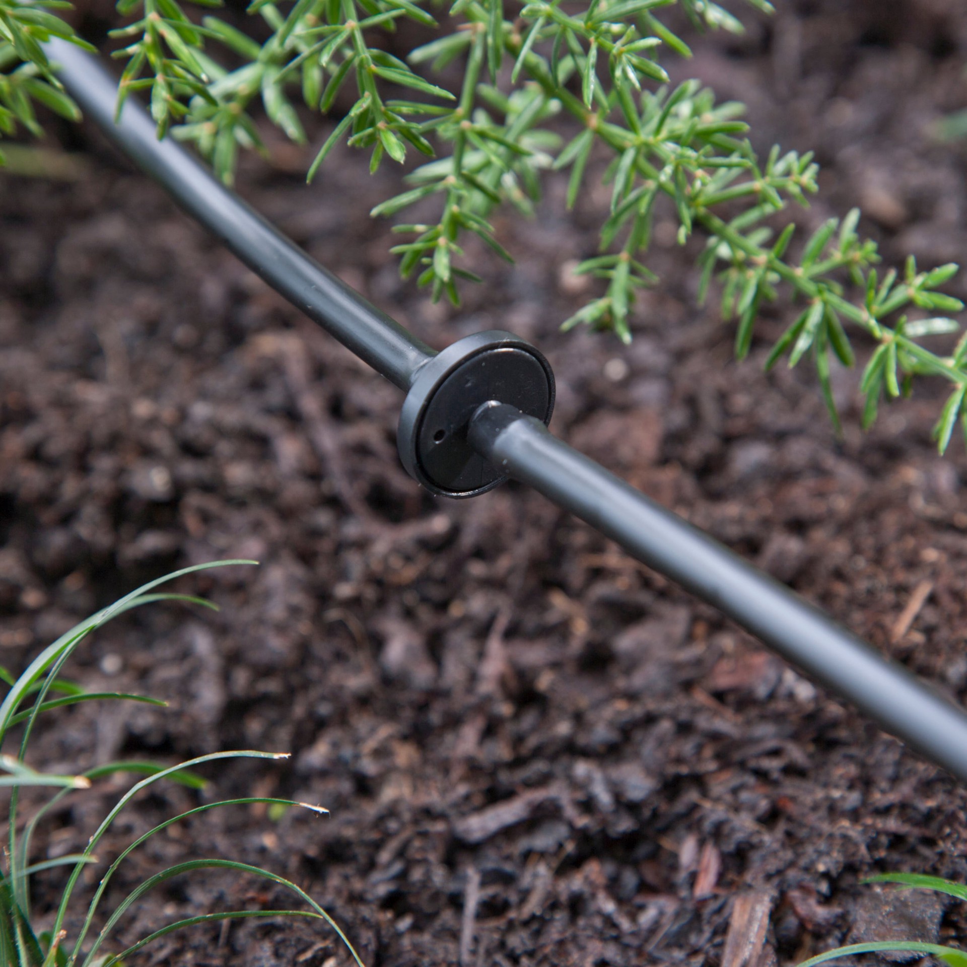 slide 2 of 6, Raindrip 1 GPH Drip Irrigation Dripper 25 -Pack, 1 ct