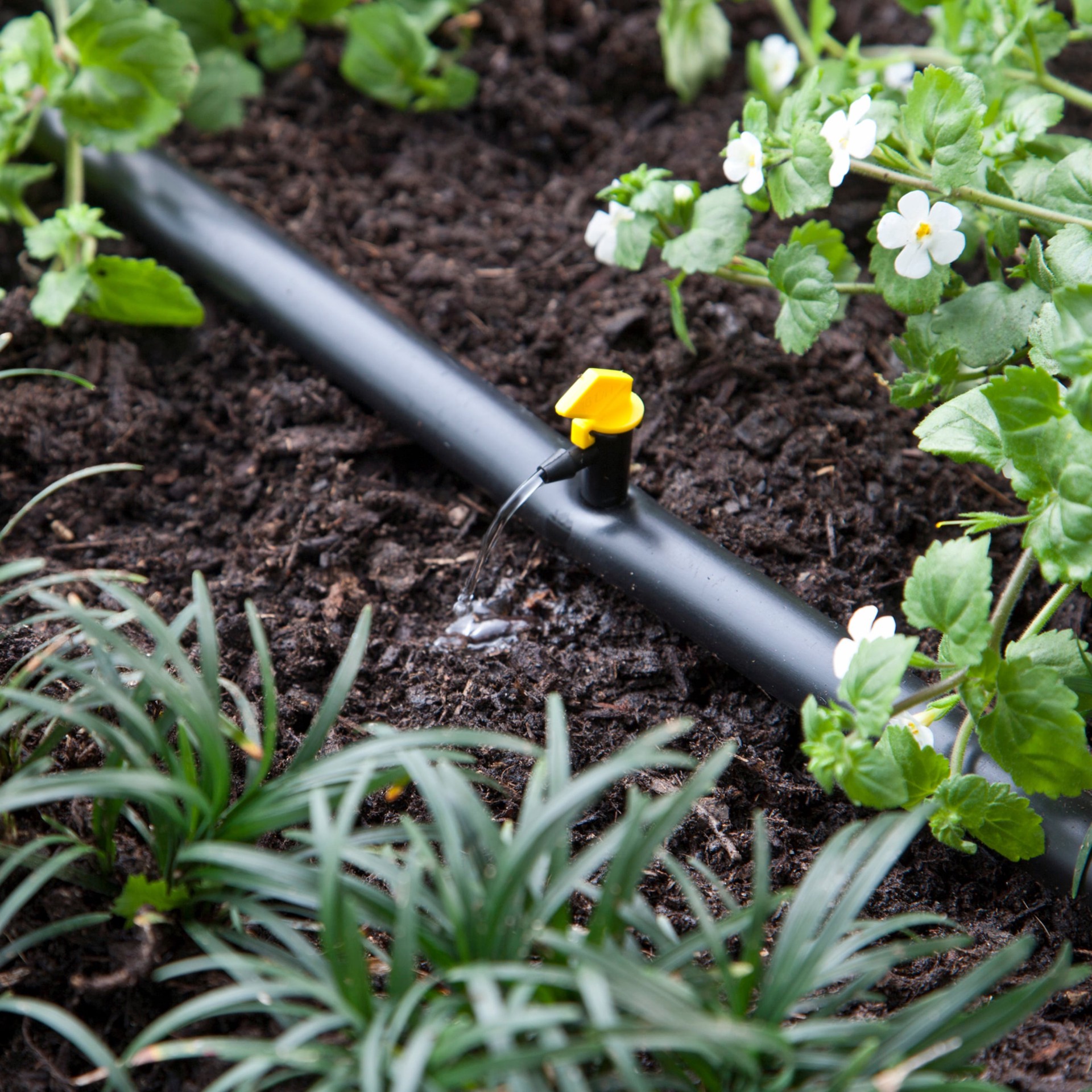 slide 2 of 6, Raindrip 4 GPH Drip Irrigation Dripper 10 -Pack, 1 ct