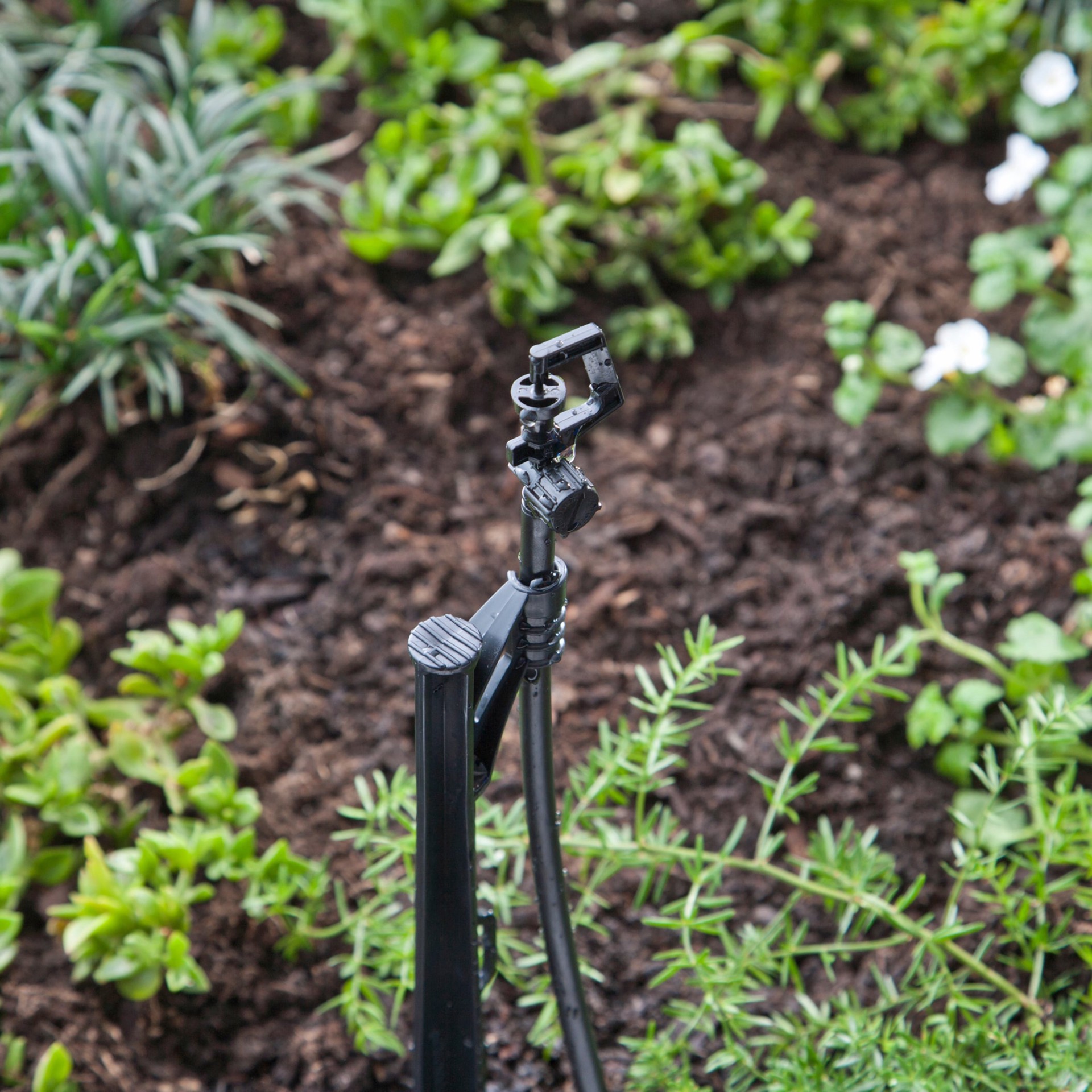 slide 2 of 5, Raindrip 24 GPH Full-circle Drip Irrigation Micro Spray 5 -Pack, 1 ct