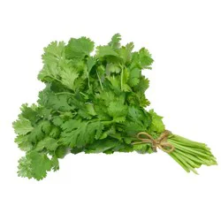 Organic Italian Parsley