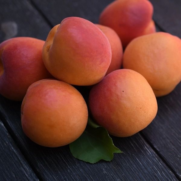 slide 1 of 1, Frog Hollow Packaged Organic Apricots, per lb
