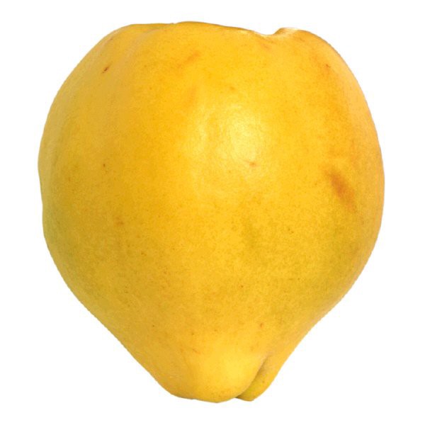 slide 1 of 1, Quince, 1 ct