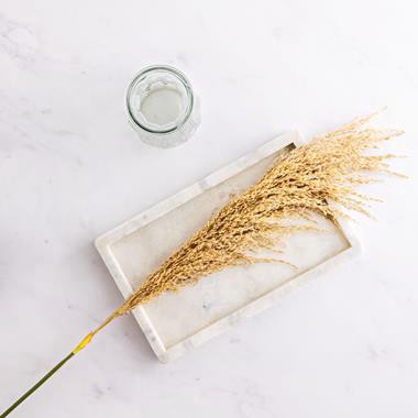 slide 1 of 1, Dried Natural Pampas Stem, 1 ct