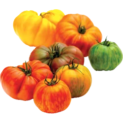 Heirloom Tomatoes