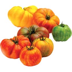 Heirloom Tomatoes