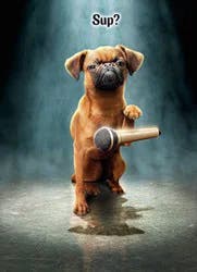 Avanti Birthday Card - Dog Mic Drop