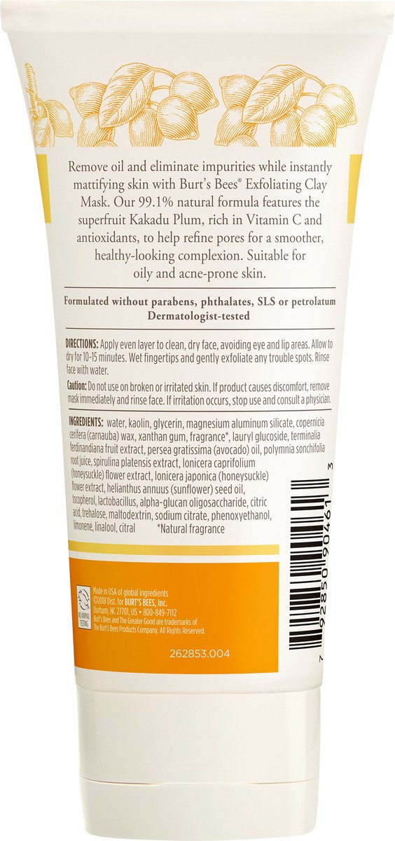 slide 3 of 3, Burt's Bees Burts Bees Clay Mask Exfoliating, 2.5 oz