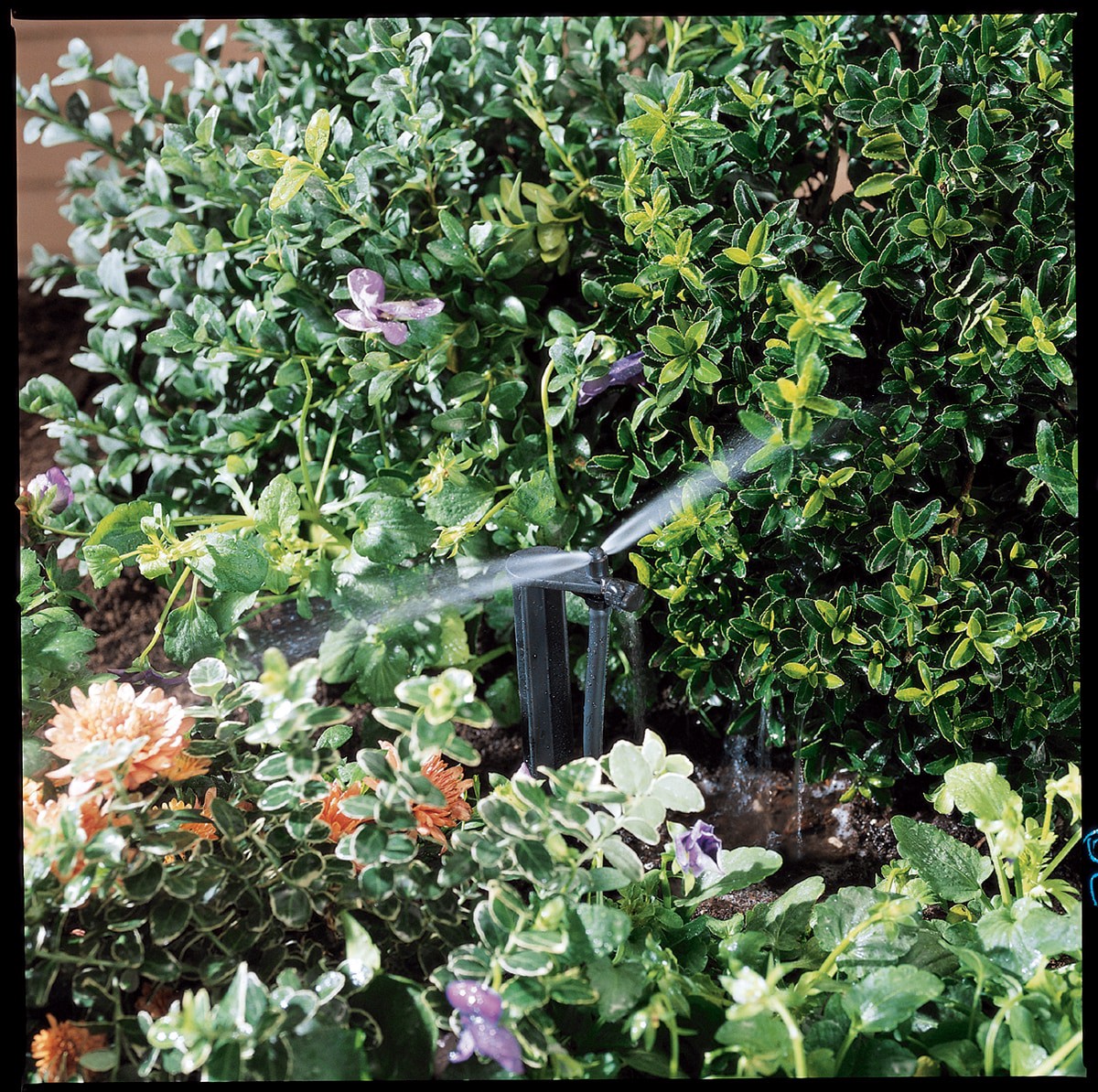 slide 3 of 3, Orbit 29 GPH Strip Drip Irrigation Micro Spray, 1 ct