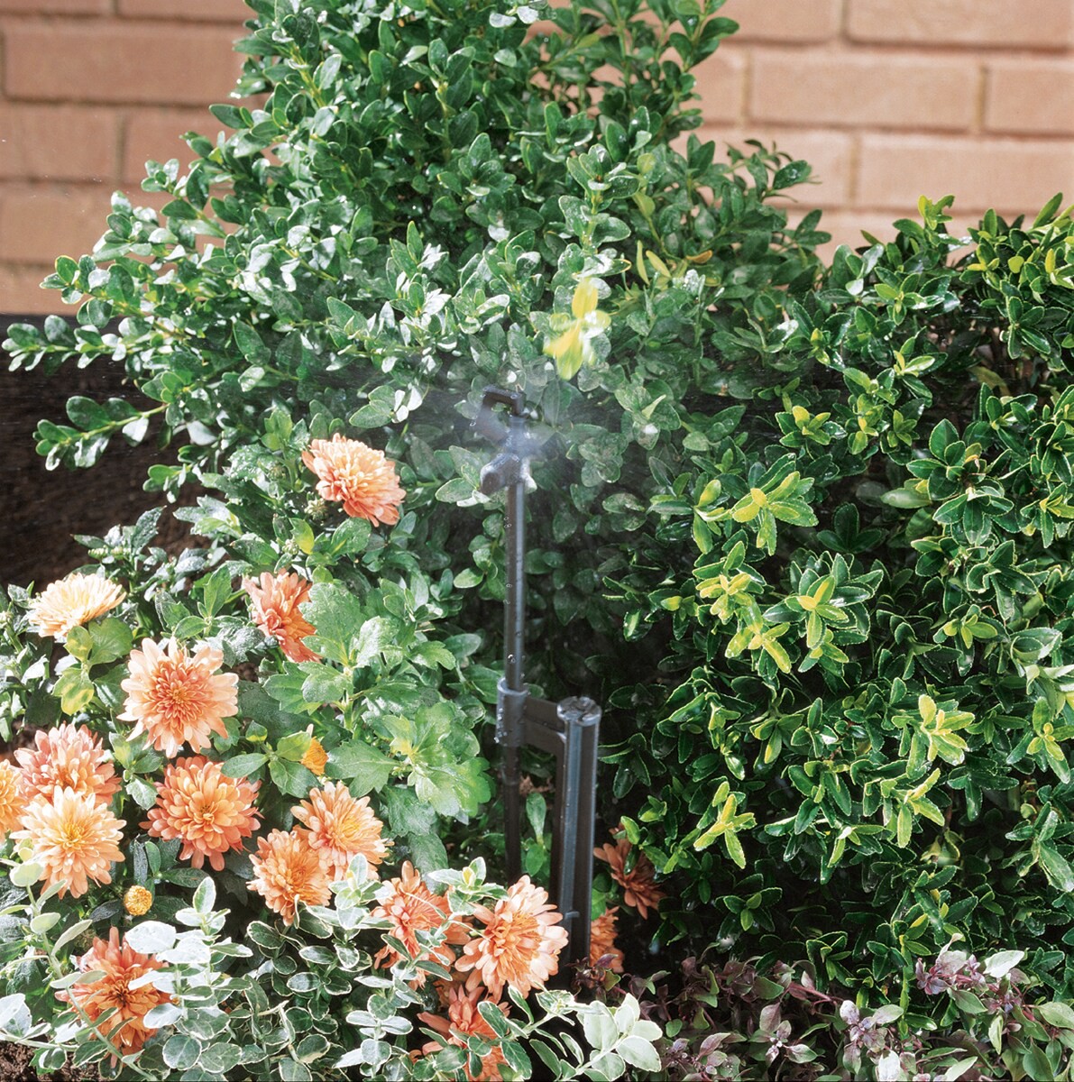 slide 3 of 3, Orbit 30 GPH Full-Circle Drip Irrigation Micro Spray 5 -Pack, 1 ct