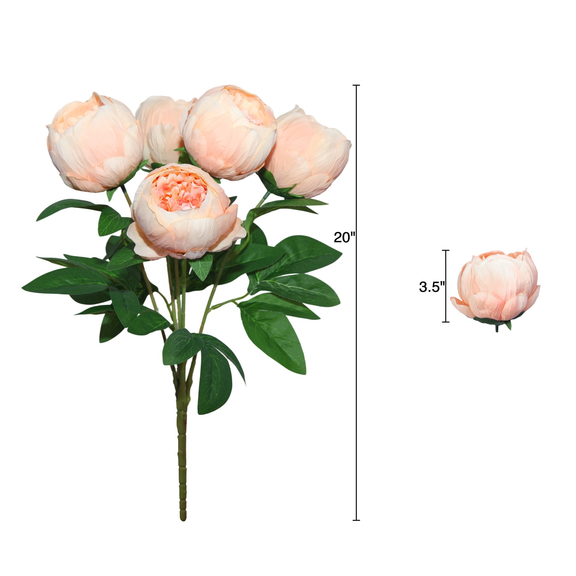 slide 2 of 3, 20" Peach Peony Deluxe Bush By Ashland, 20 in