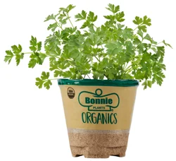 Bonnie Plants Organic Flat Italian Parsley 14.6 oz