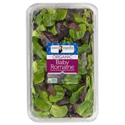 Josie's Organics Baby Romaine Salad