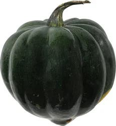 Cottonelle Squash - Buttercup