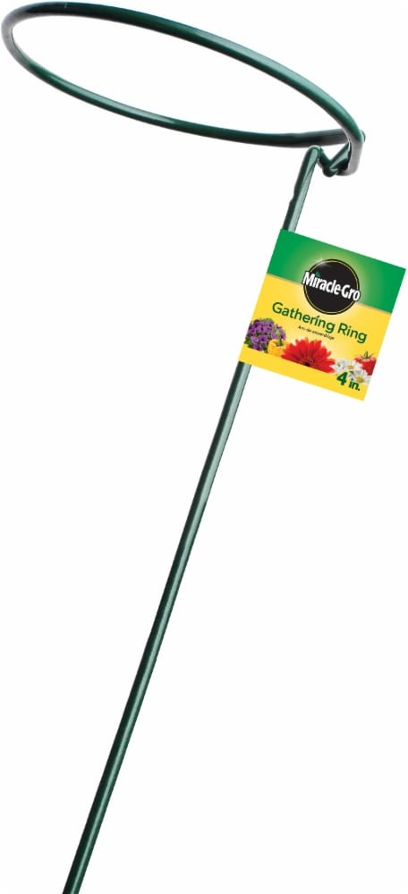 slide 1 of 1, Miracle-Gro Gathering Ring - 3 Pack - Green, 6 in x 36 in