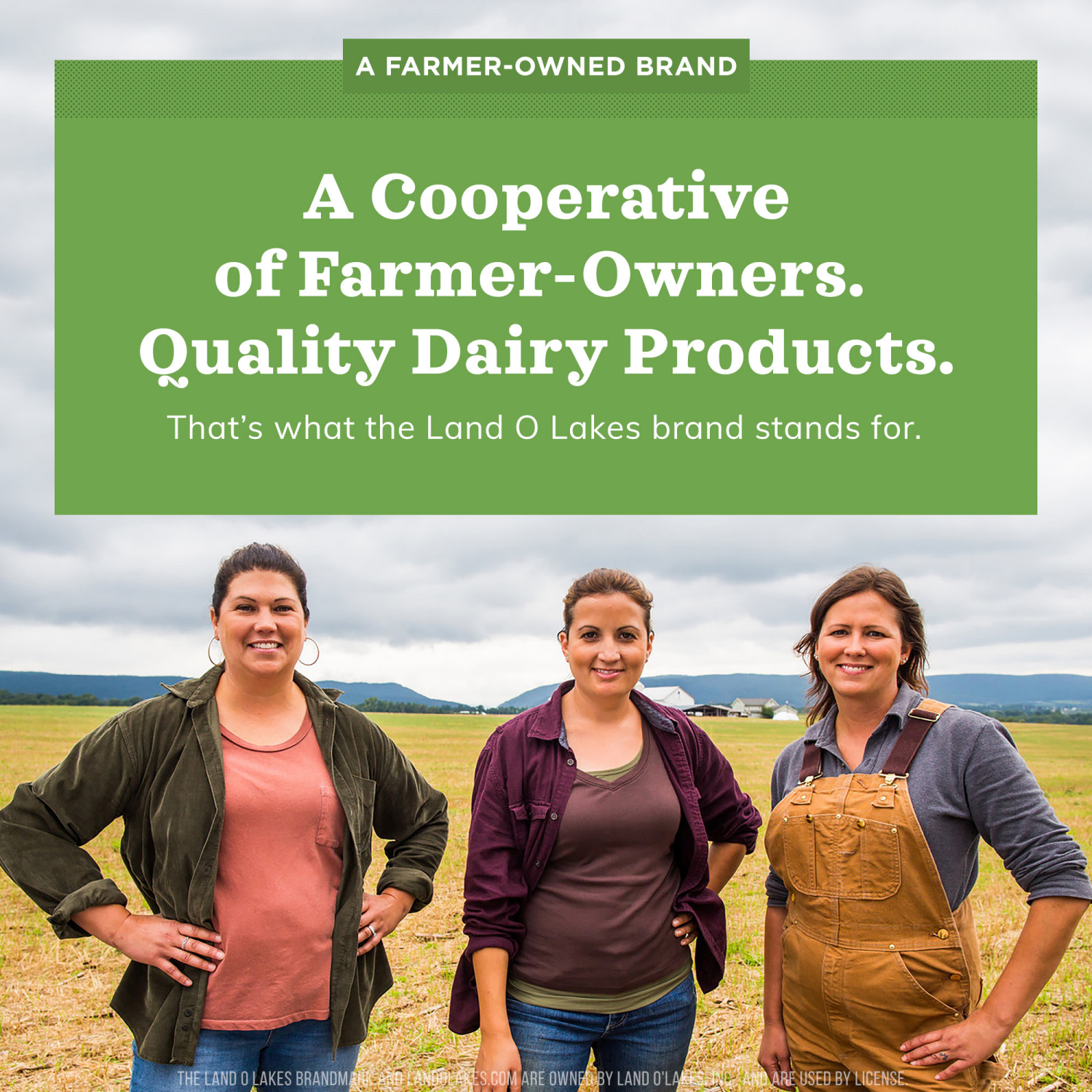 slide 3 of 8, Land O'Lakes Fat-Free Half And Half, 1 Quart, 1 qt