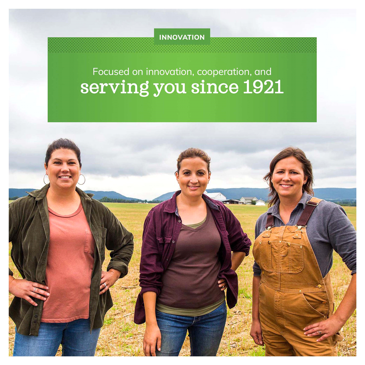 slide 3 of 4, Land O'Lakes Heavy Whipping Cream, 1 Pint, 1 pint