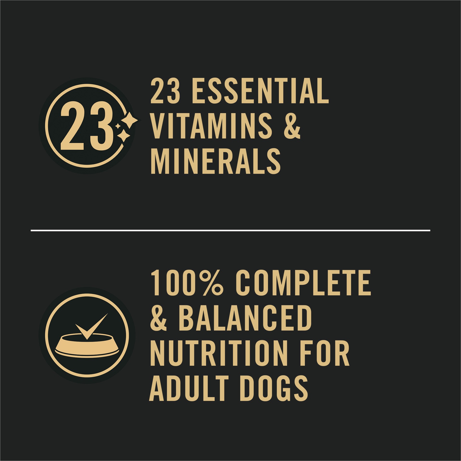 slide 5 of 9, Purina® Pro Plan Sensitive Skin & Stomach Adult Wet Dog Food - Classic Pate, Salmon & Rice, 13 Oz, 13 oz