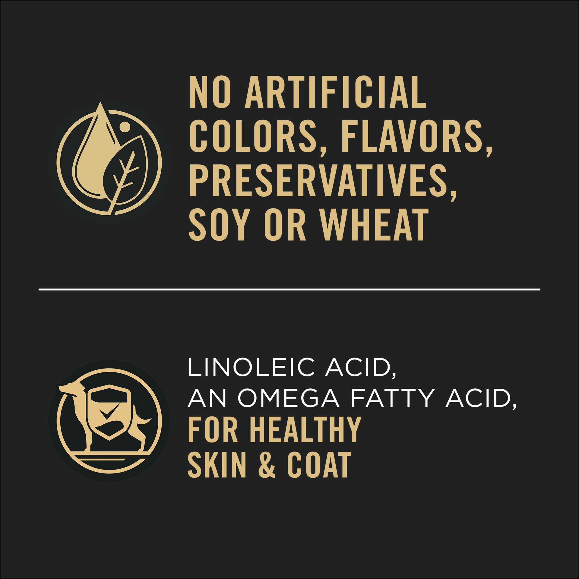 slide 8 of 9, Purina® Pro Plan Sensitive Skin & Stomach Adult Wet Dog Food - Classic Pate, Salmon & Rice, 13 Oz, 13 oz