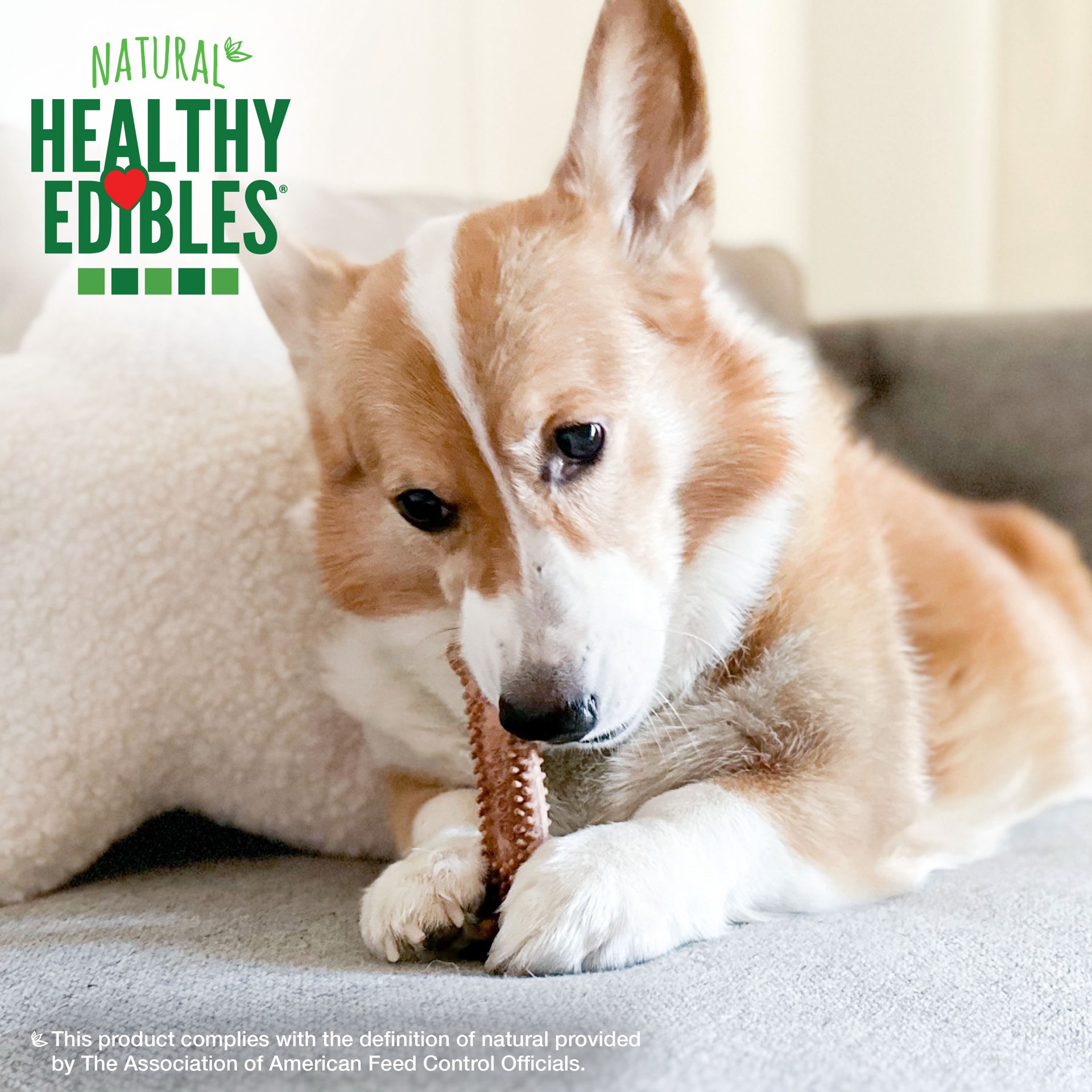 slide 7 of 10, Nylabone Healthy Edibles Meaty Center Natural Dog Treats Beef Small - Up to 30 lbs.(4 Count), 3.3 oz
