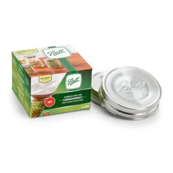 Ball Regular Mouth Stainless Steel Lids