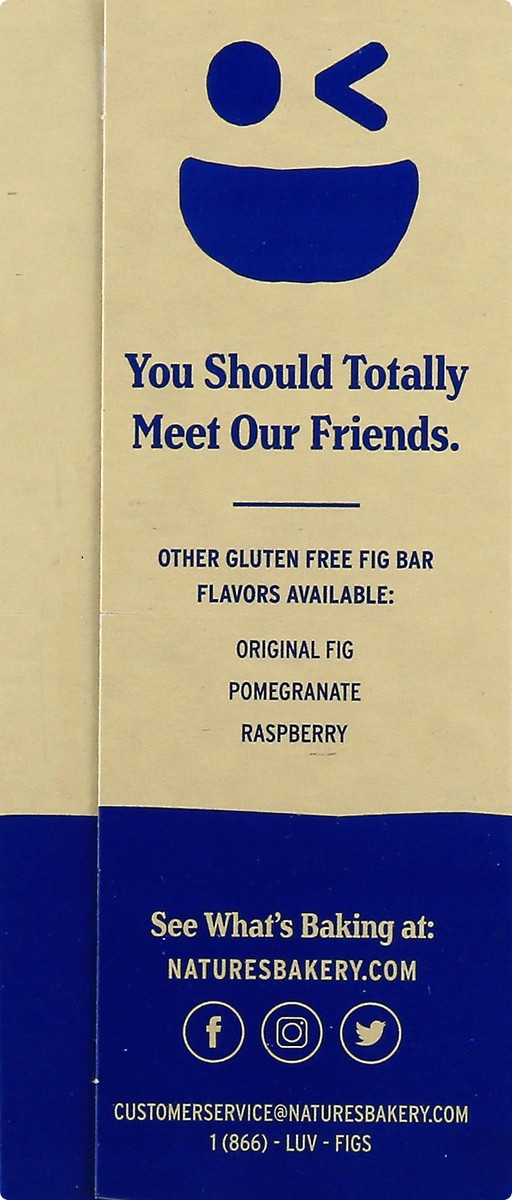 slide 7 of 9, Nature's Bakery Gluten Free 6 Twin Packs Blueberry Fig Bar 6 ea, 6 ct