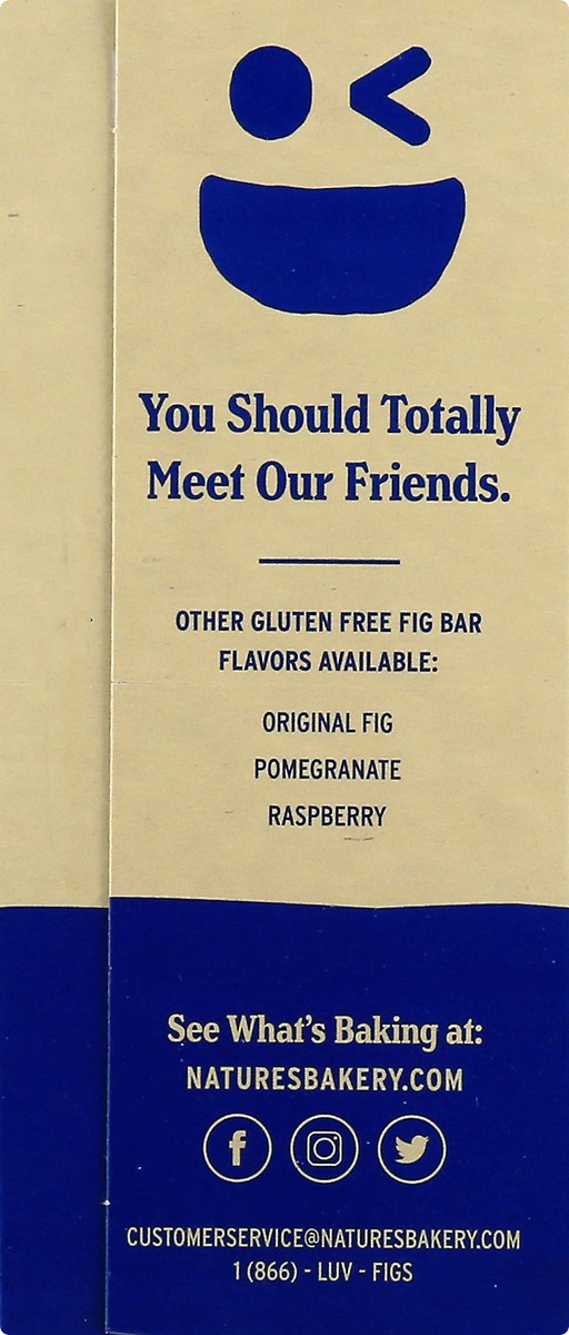 slide 4 of 9, Nature's Bakery Blueberry Gluten Free Fig Bars, Snack Bars, 6 Ct, 6 ct