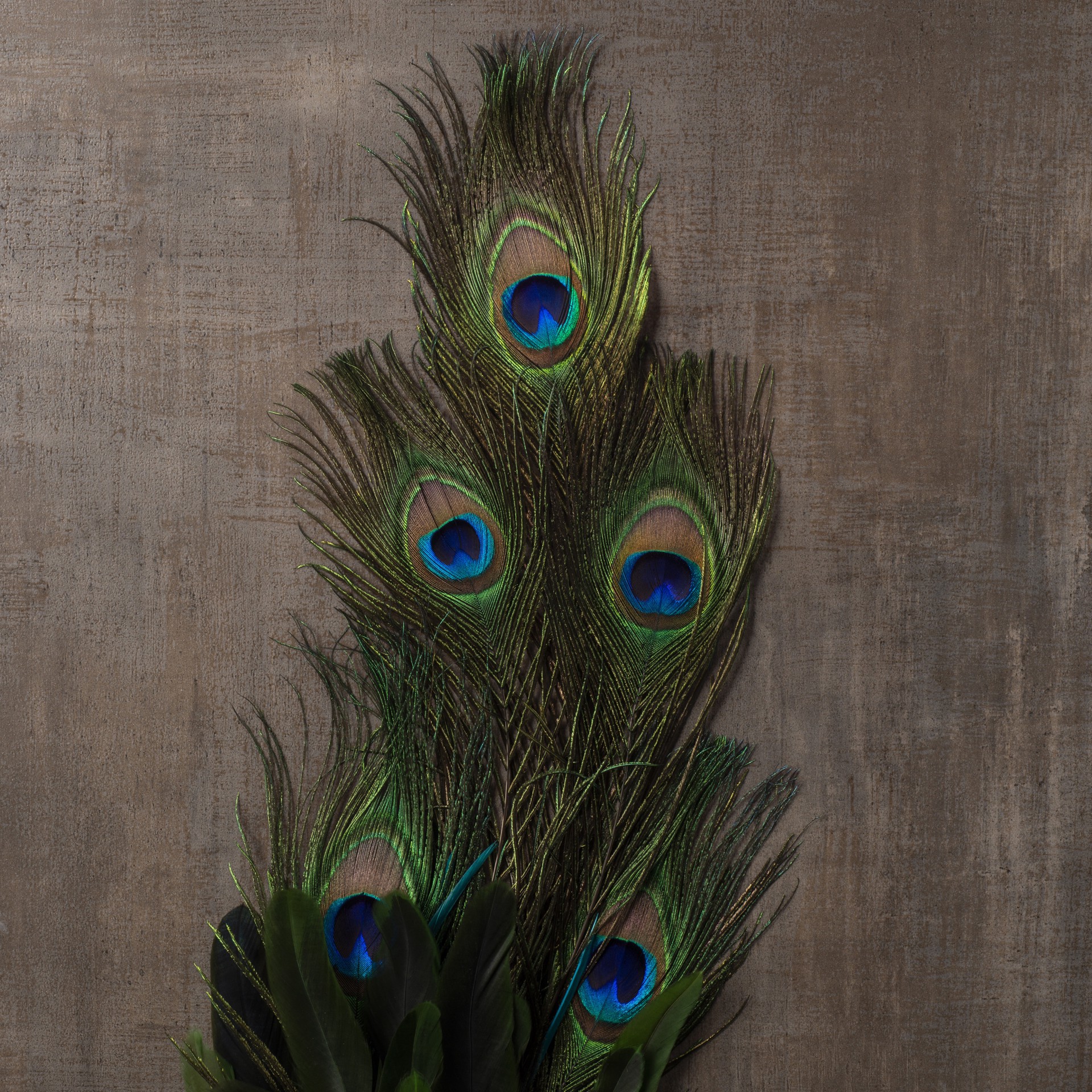 slide 3 of 3, 35" Peacock Feather Pick By Ashland, 35 in