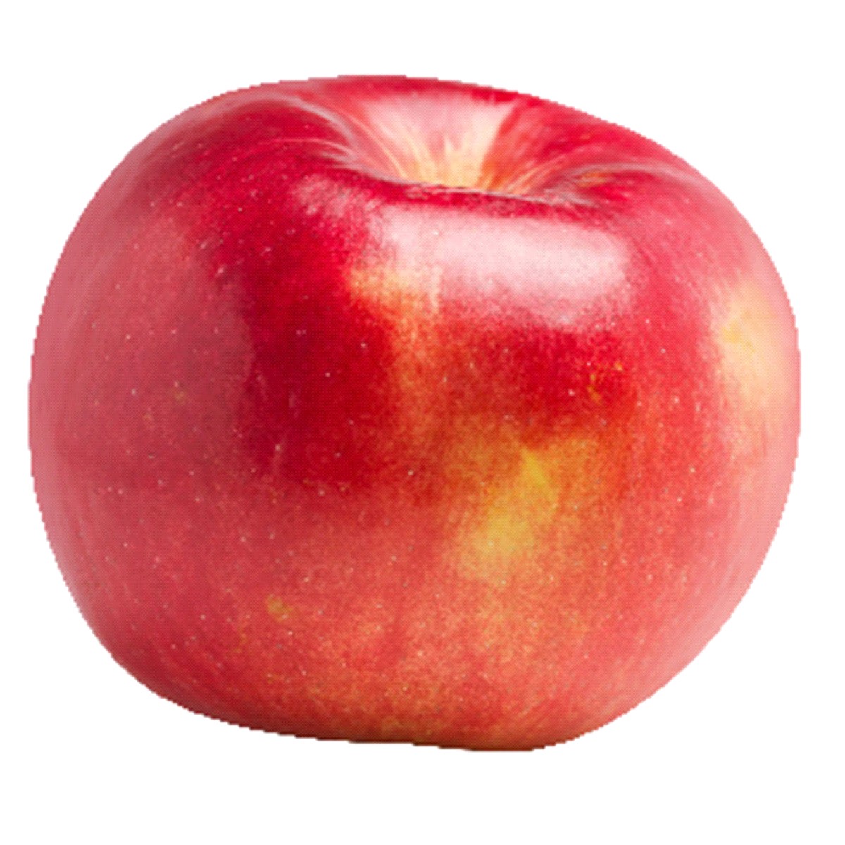 slide 1 of 1, Rave Apple, 1 ct