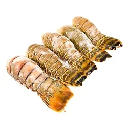 Lobster Tail Raw 4 Oz Frozen 4 Count - Each