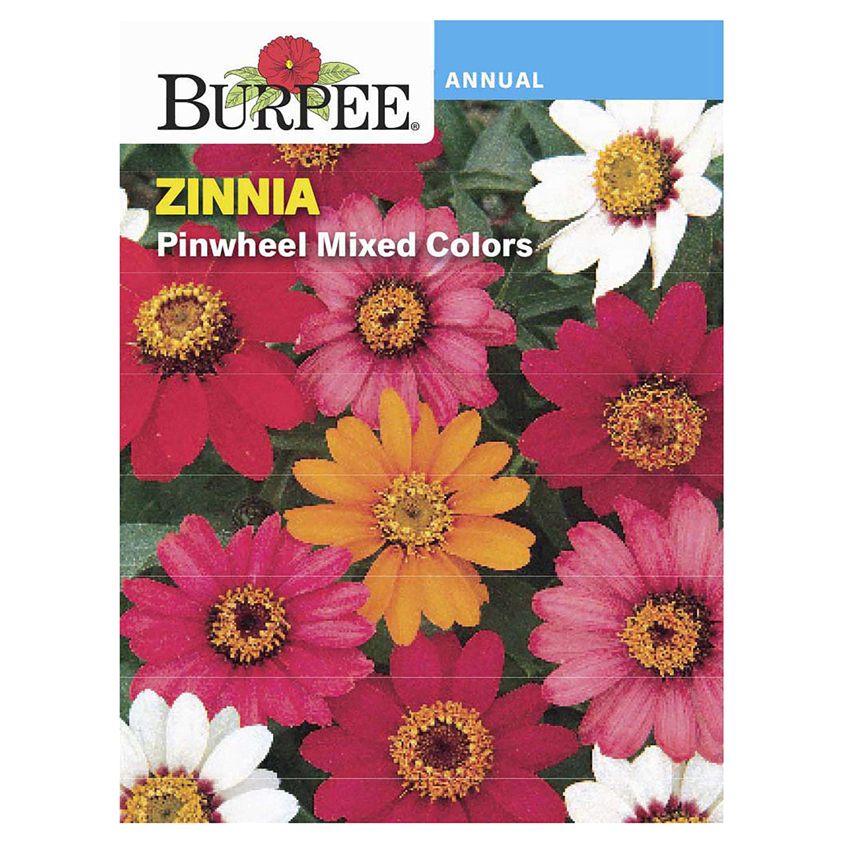 slide 1 of 1, Burpee Zinnia Pinwheel Seed Mix - Multi-Color, 1 ct