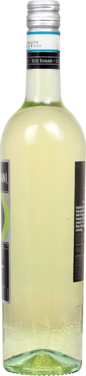 slide 8 of 9, Ecco Domani Pinot Grigio, 1 ct