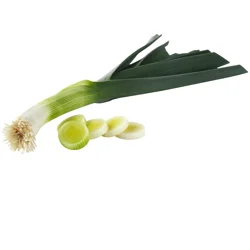 Organic Leeks