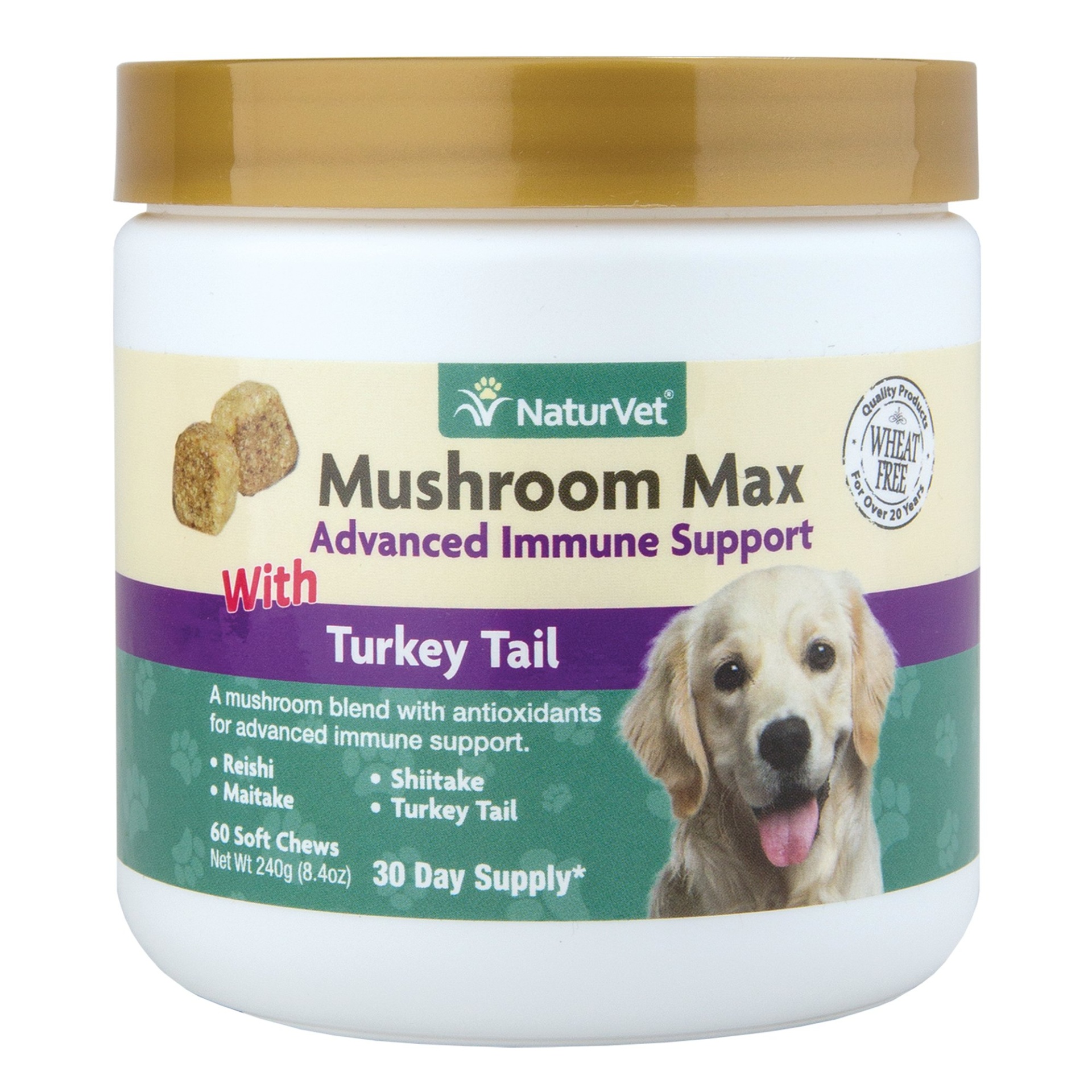 slide 1 of 1, NaturVet Mushroom Max Advanced Immune Support Soft Chews, 0.72 lb