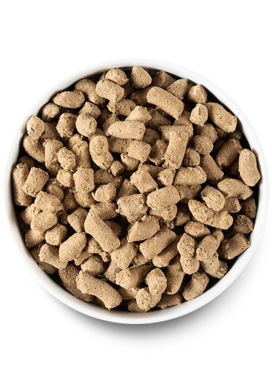 slide 2 of 3, OPEN FARM Grass-Fed Beef Recipe Freeze Dried Raw Morsels for Dogs 13.5 oz, 13.5 oz