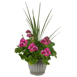 11.0 Premium Patio Planter