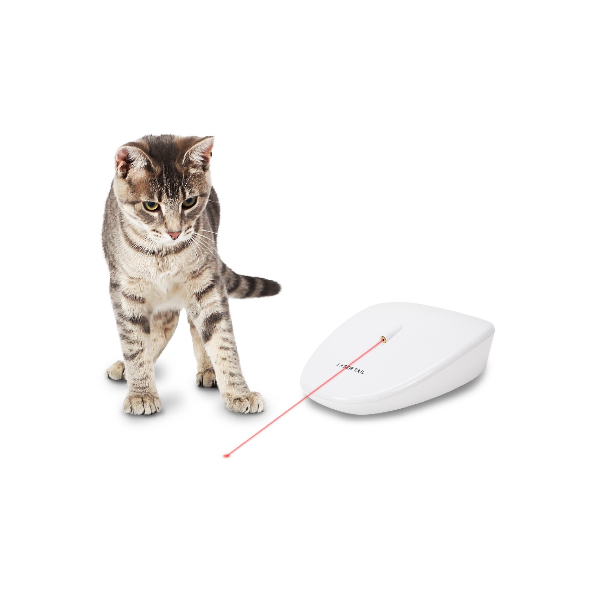 slide 1 of 1, PetSafe Laser Tail Automatic Laser Light, 1 ct