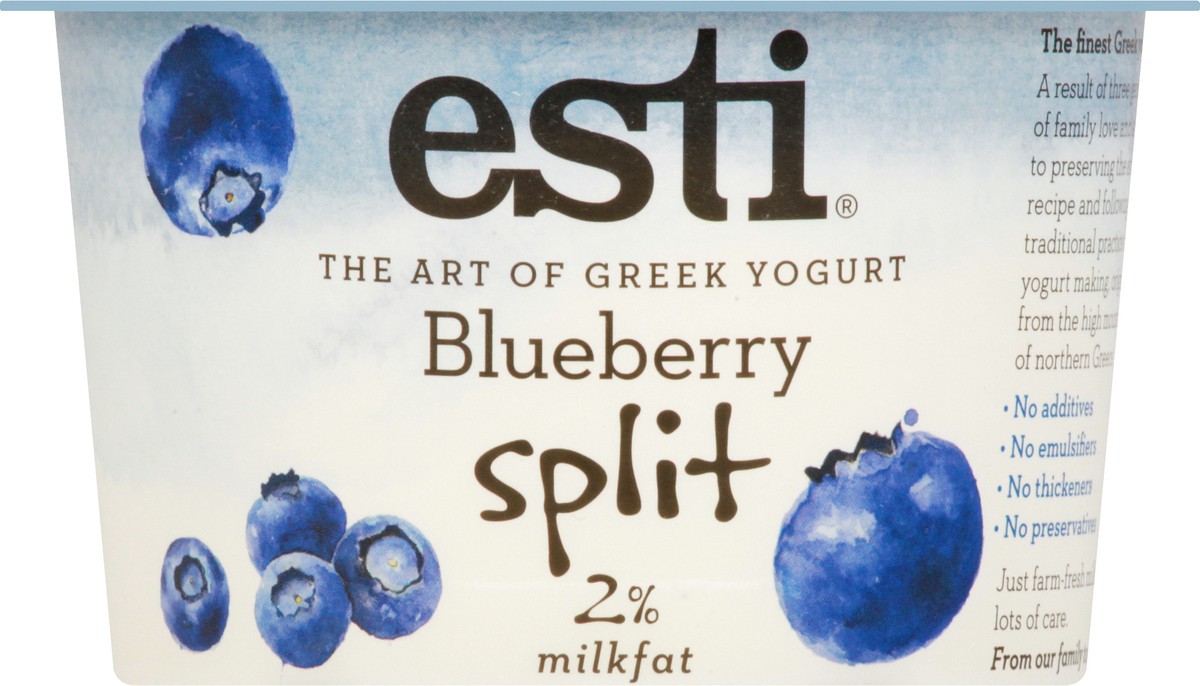 slide 4 of 13, esti Greek Blueberry Split Yogurt 5.3 oz, 5.3 oz