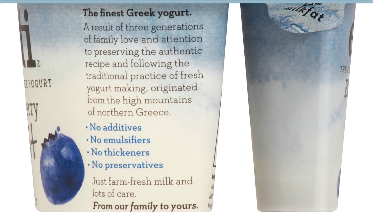 slide 6 of 13, esti Greek Blueberry Split Yogurt 5.3 oz, 5.3 oz