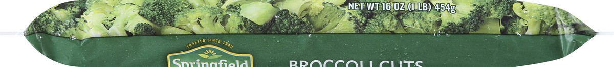 slide 6 of 8, Springfield Cut Broccoli (Frozen), 16 oz