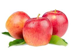 Smitten Apples