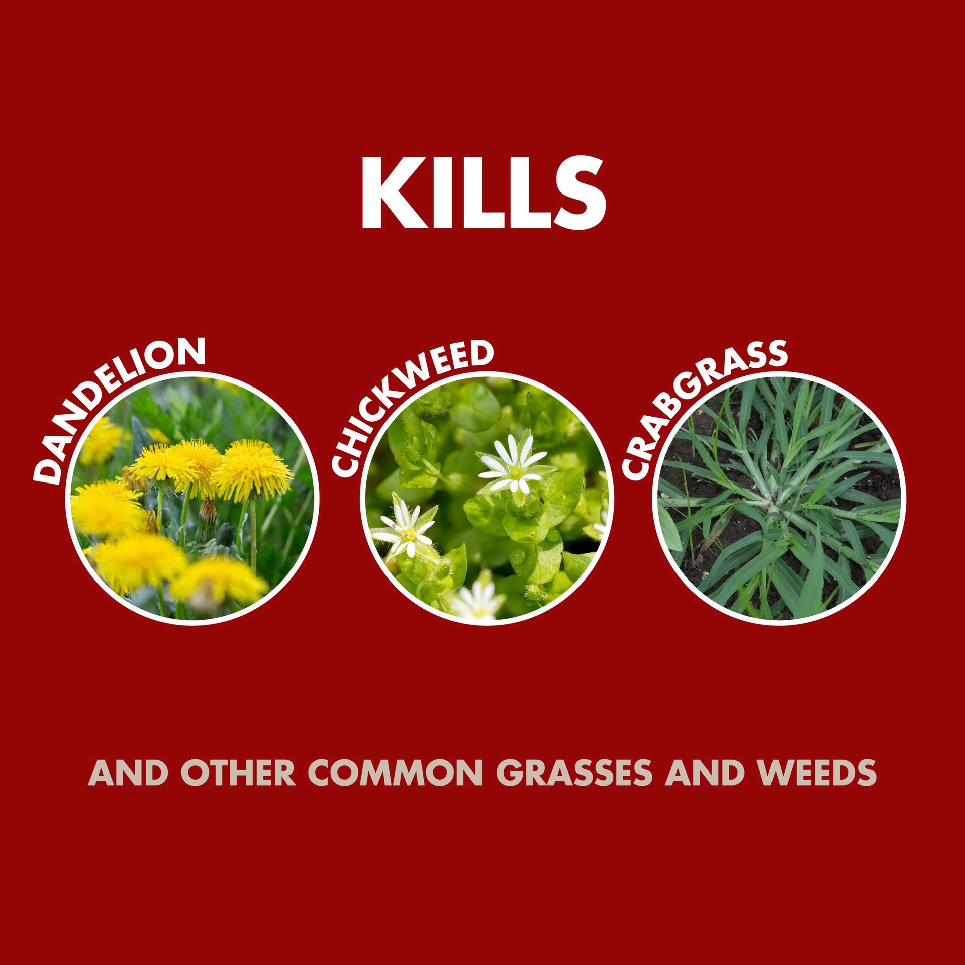 slide 5 of 6, Spectracide Weed And Grass Killer Concentrate, 32 fl oz