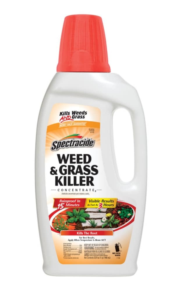 slide 1 of 1, Spectracide Weed And Grass Killer Concentrate, 32 fl oz