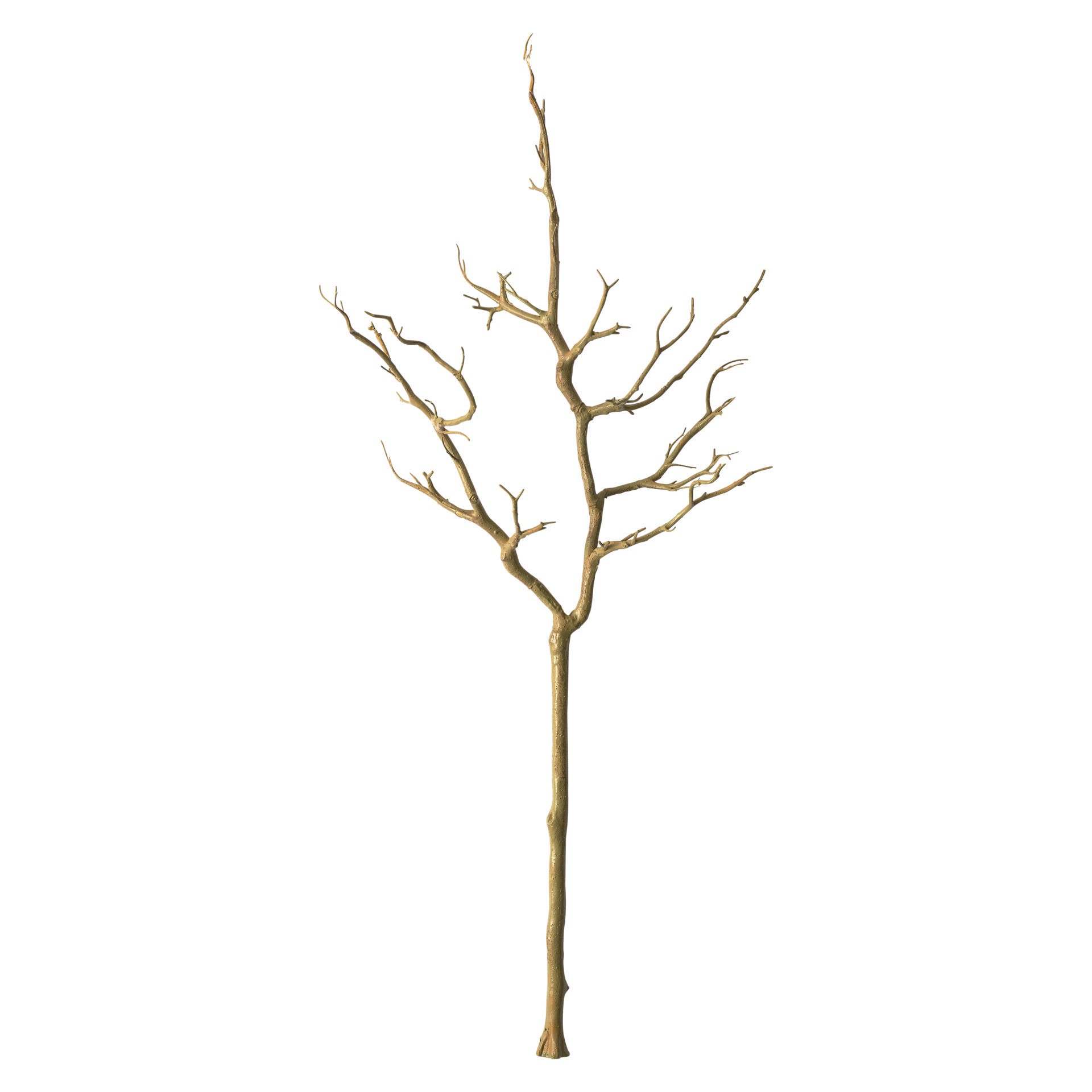 slide 3 of 3, 3ft. Bare Birch Branch By Ashland, 40 in x 9 in x 7 in